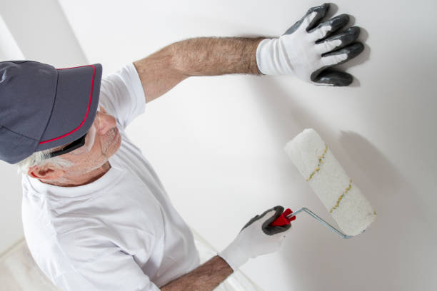 Desoto Lakes, FL Dry wall and painting Company